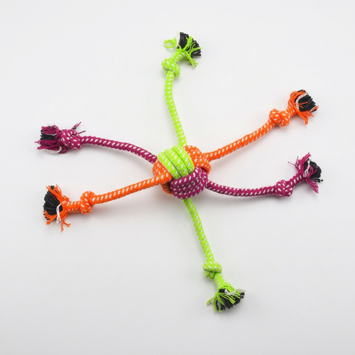 Rope toy overhead view